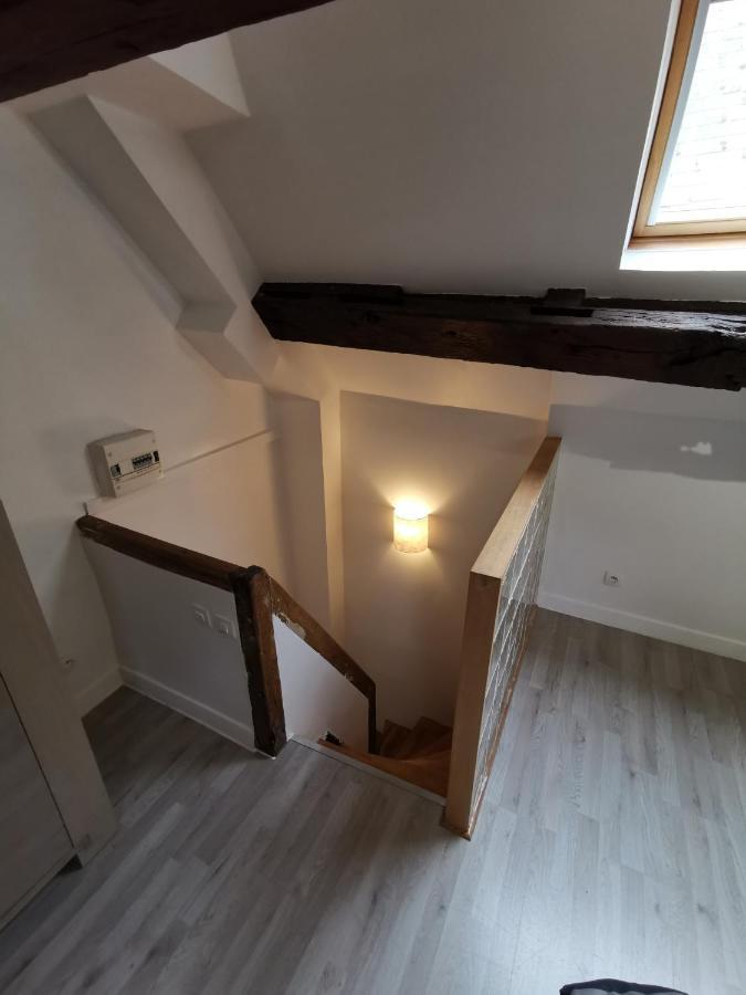 Appartement Hyper Centre Au Bord De Loire Orléans Exteriör bild