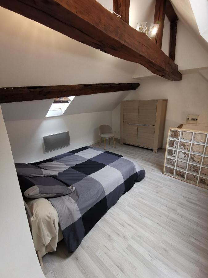 Appartement Hyper Centre Au Bord De Loire Orléans Exteriör bild